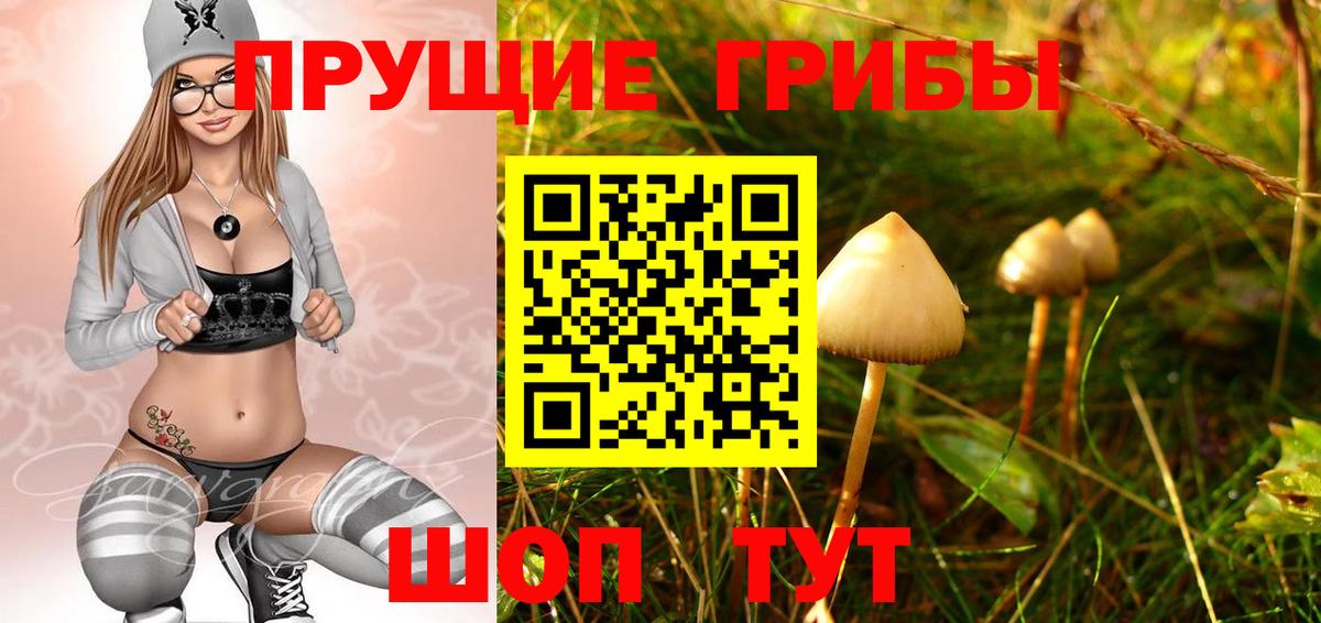 Самара  Галлюциногенные грибы GOLDEN TEACHER  Вход с VPN 