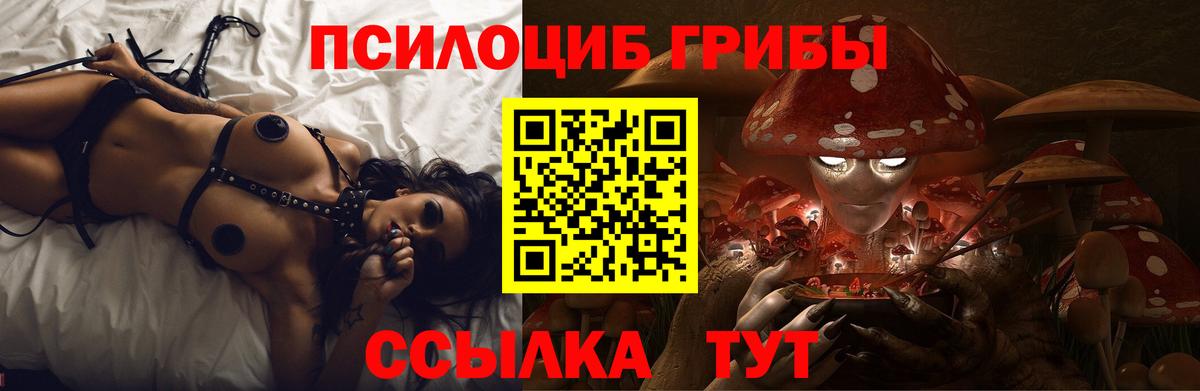 Псилоцибиновые грибы прущие грибы Самара